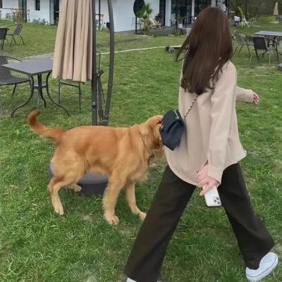 我们的相爱时光：续篇