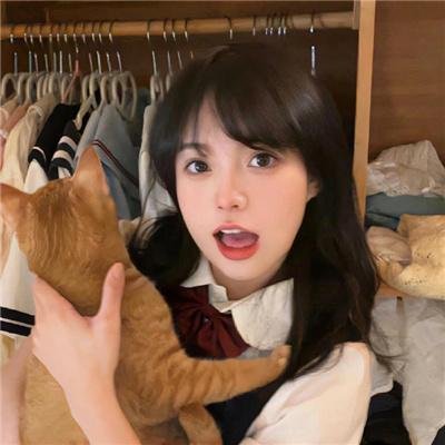 报告王爷，王妃是只猫2