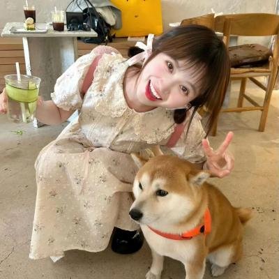 法医密档